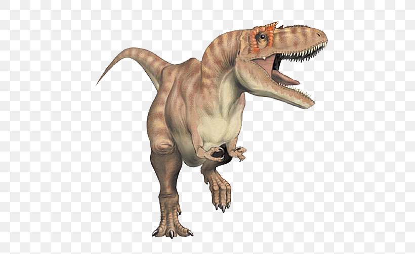 Dinosaur Provincial Park Tyrannosaurus Albertosaurus Allosaurus Gorgosaurus, PNG, 500x503px, Dinosaur Provincial Park, Albertosaurus, Allosaurus, Apatosaurus, Carcharodontosaurus Download Free