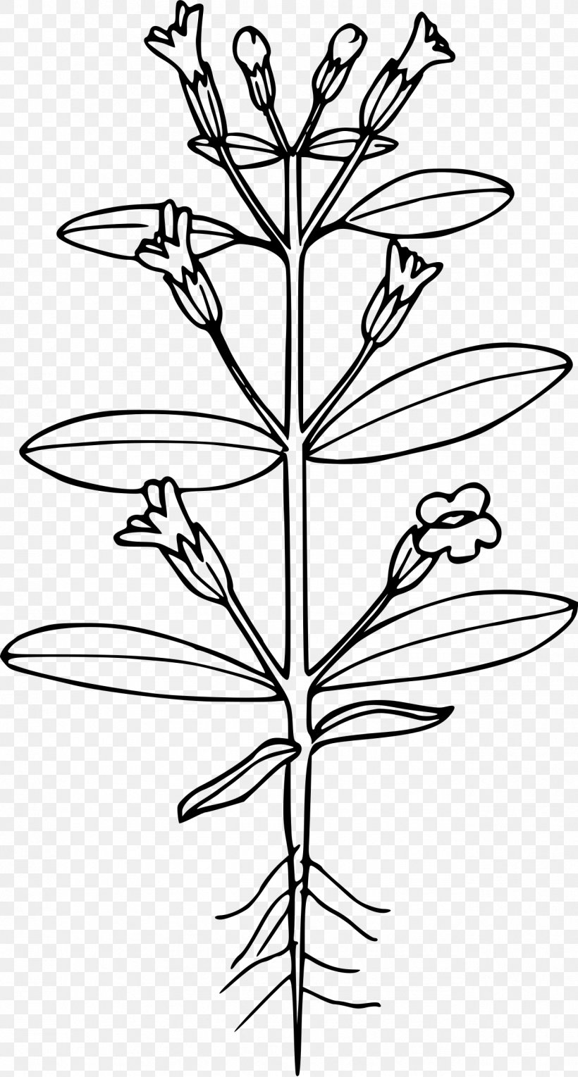 Erythranthe Breweri Clip Art, PNG, 1287x2400px, Plant Stem, Black And White, Branch, Flora, Flower Download Free