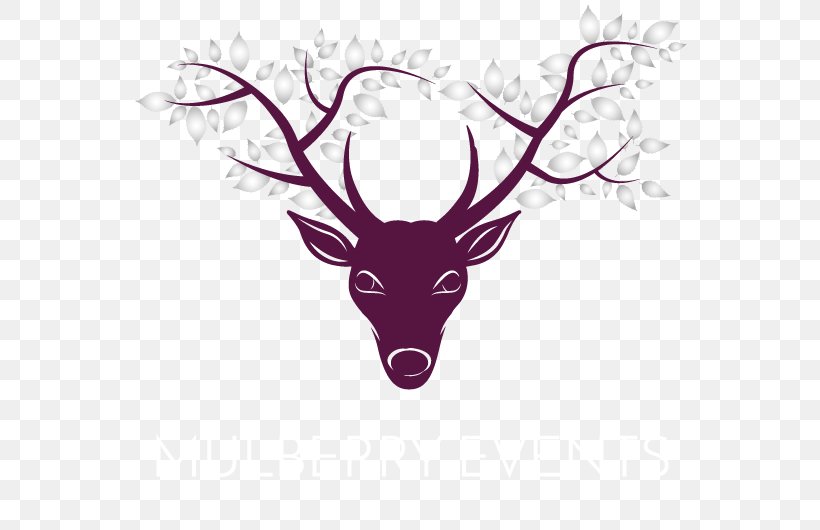 Reindeer Mulberry Events Antler Keymer Buildings Victoria Road, PNG, 568x530px, Deer, Animal, Antler, Centrepiece, Head Download Free