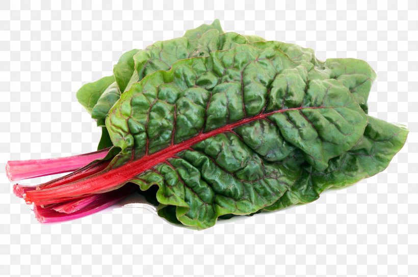 Romaine Lettuce Chard Spinach Vegetable Collard Greens, PNG, 1700x1129px, Romaine Lettuce, Broccolini, Chard, Choy Sum, Collard Greens Download Free