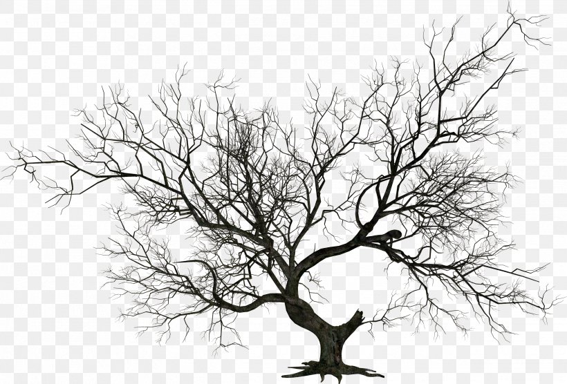 The Halloween Tree Clip Art, PNG, 2483x1685px, Halloween Tree, Black And White, Branch, Christmas Tree, Document Download Free