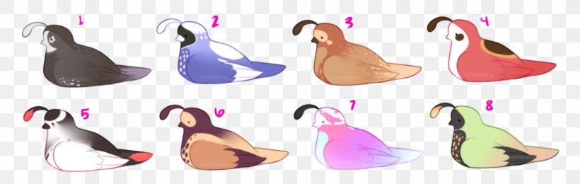 Duck Shoe Feather Clip Art, PNG, 1584x503px, Duck, Animal Figure, Beak, Ducks Geese And Swans, Feather Download Free