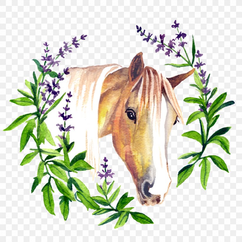 Pony Mustang American Quarter Horse Equine Polysaccharide Storage Myopathy Mane, PNG, 1500x1500px, Pony, American Quarter Horse, Draft Horse, Flower, Flowering Plant Download Free