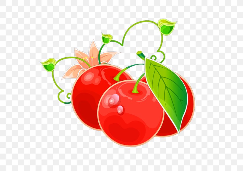 Tomato Barbados Cherry Clip Art Fruit, PNG, 600x579px, Tomato, Acerola, Acerola Family, Apple, Auglis Download Free