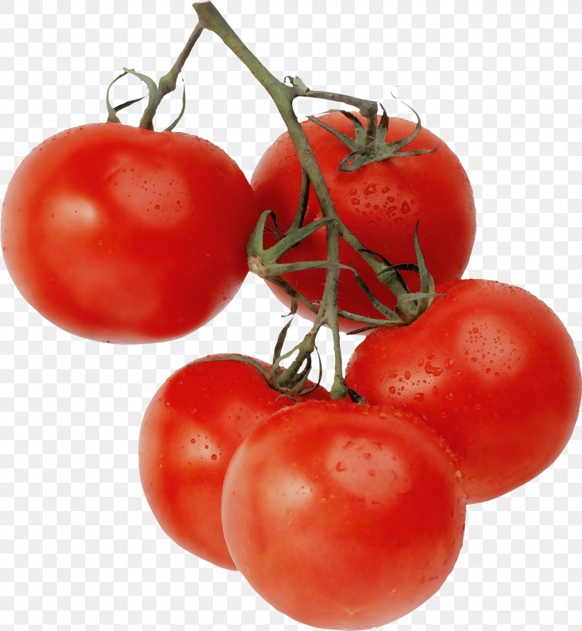 Tomato, PNG, 2580x2800px, Watercolor, Bush Tomato, Cherry Tomatoes, Food, Fruit Download Free