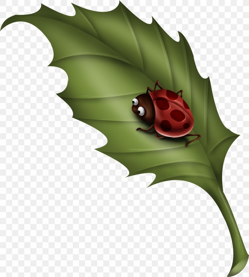 Leaf Ladybird Clip Art, PNG, 1613x1800px, Leaf, Flower, Image File Formats, Ladybird, Plant Download Free