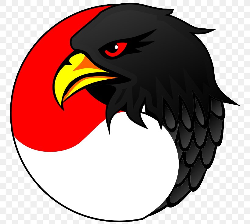 Bald Eagle PT. Elang Mandiri Perkasa Clip Art, PNG, 767x734px, Bald Eagle, Beak, Bird, Bird Of Prey, Caricature Download Free