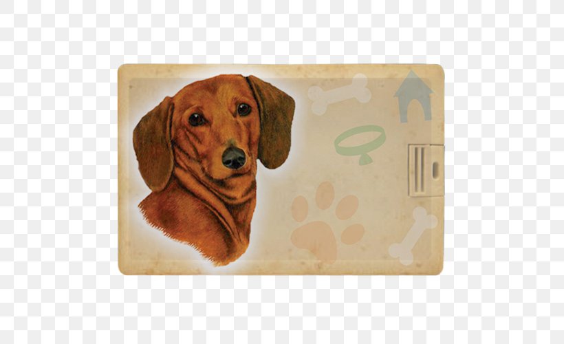 Dachshund Puppy Dog Breed Scent Hound Pet, PNG, 500x500px, Dachshund, Airbrush, Breed, Carnivoran, Cushion Download Free