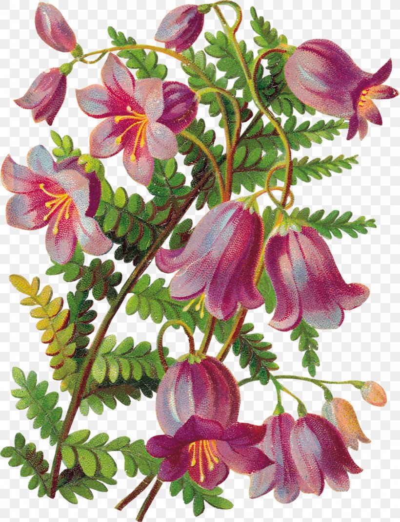 Decoupage Flower Glockenspiel Clip Art, PNG, 921x1200px, Decoupage, Annual Plant, Ansichtkaart, Drawing, Flora Download Free