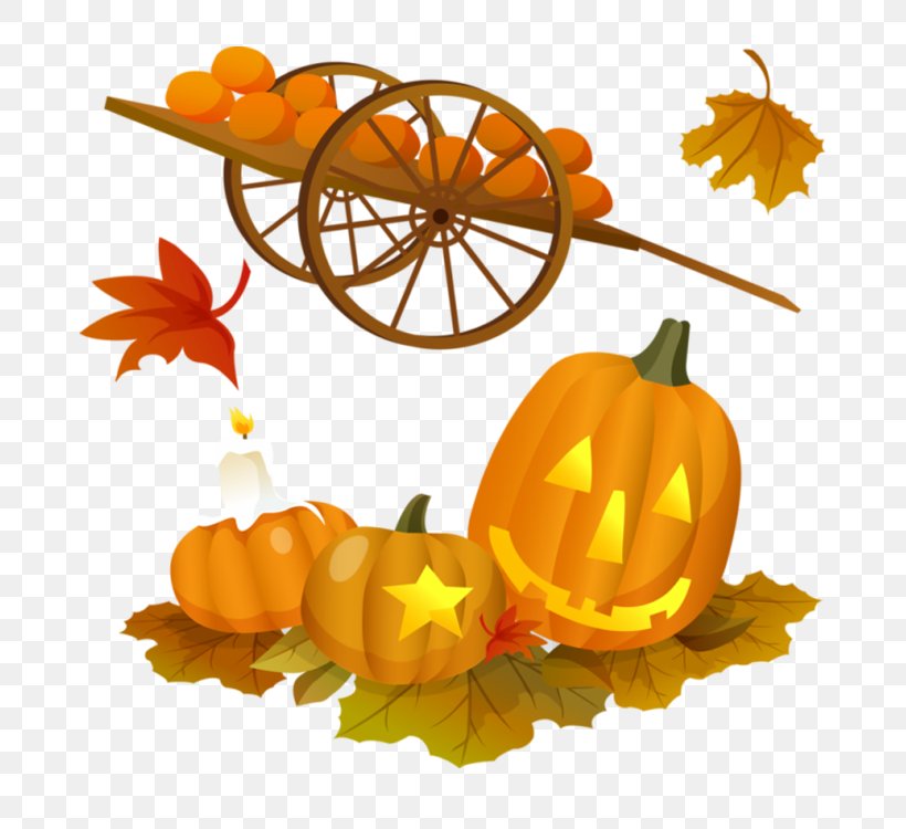 Halloween Pumpkin Jack-o-lantern Clip Art, PNG, 750x750px, Halloween, Calabaza, Cucurbita, Flower, Flowering Plant Download Free
