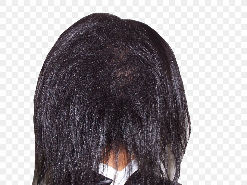 Wig Homo Sapiens, PNG, 2304x1728px, Wig, Black Hair, Brown Hair, Fur, Homo Sapiens Download Free
