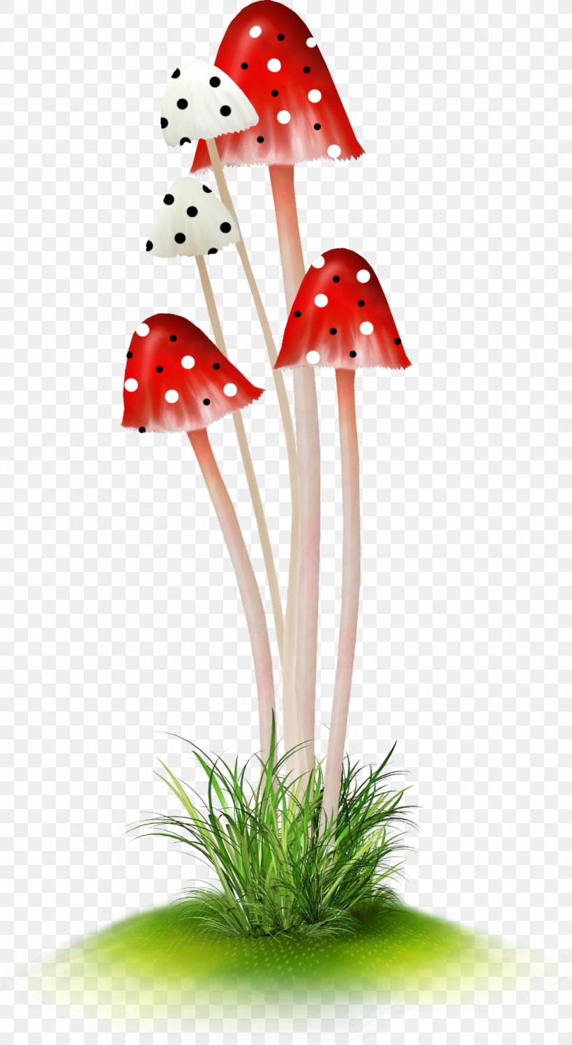 Clip Art Mushroom DepositFiles Blog, PNG, 1057x1931px, Mushroom, Animal, Author, Blog, Depositfiles Download Free