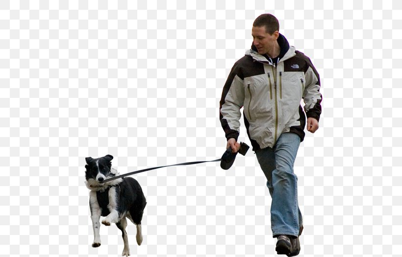 Dog Walking Pet Sitting Dog Breed Shar Pei, PNG, 500x525px, Dog Walking, Dog, Dog Breed, Dog Food, Dog Like Mammal Download Free