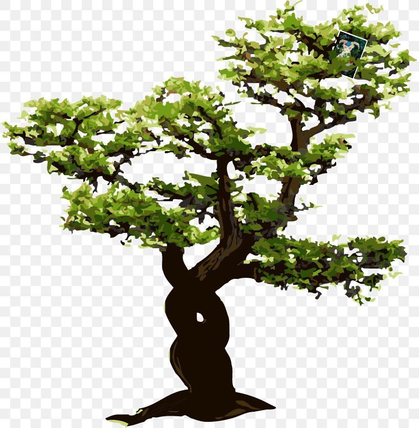 Euclidean Vector Tree, PNG, 814x838px, Tree, Bonsai, Branch, Drawing, Flowerpot Download Free