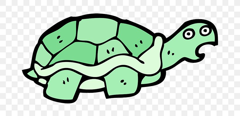 Sea Turtle Background, PNG, 750x399px, Turtle, Animal, Drawing, Green, Line Art Download Free