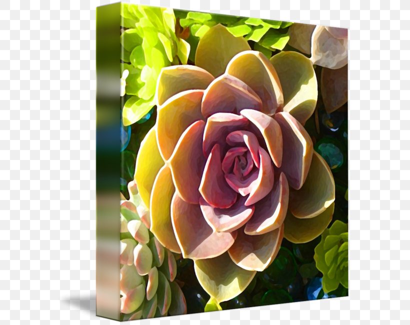 Canvas Print Painting Art Succulent Plant, PNG, 589x650px, Canvas Print, Art, Canvas, Contemporary Art, Cut Flowers Download Free