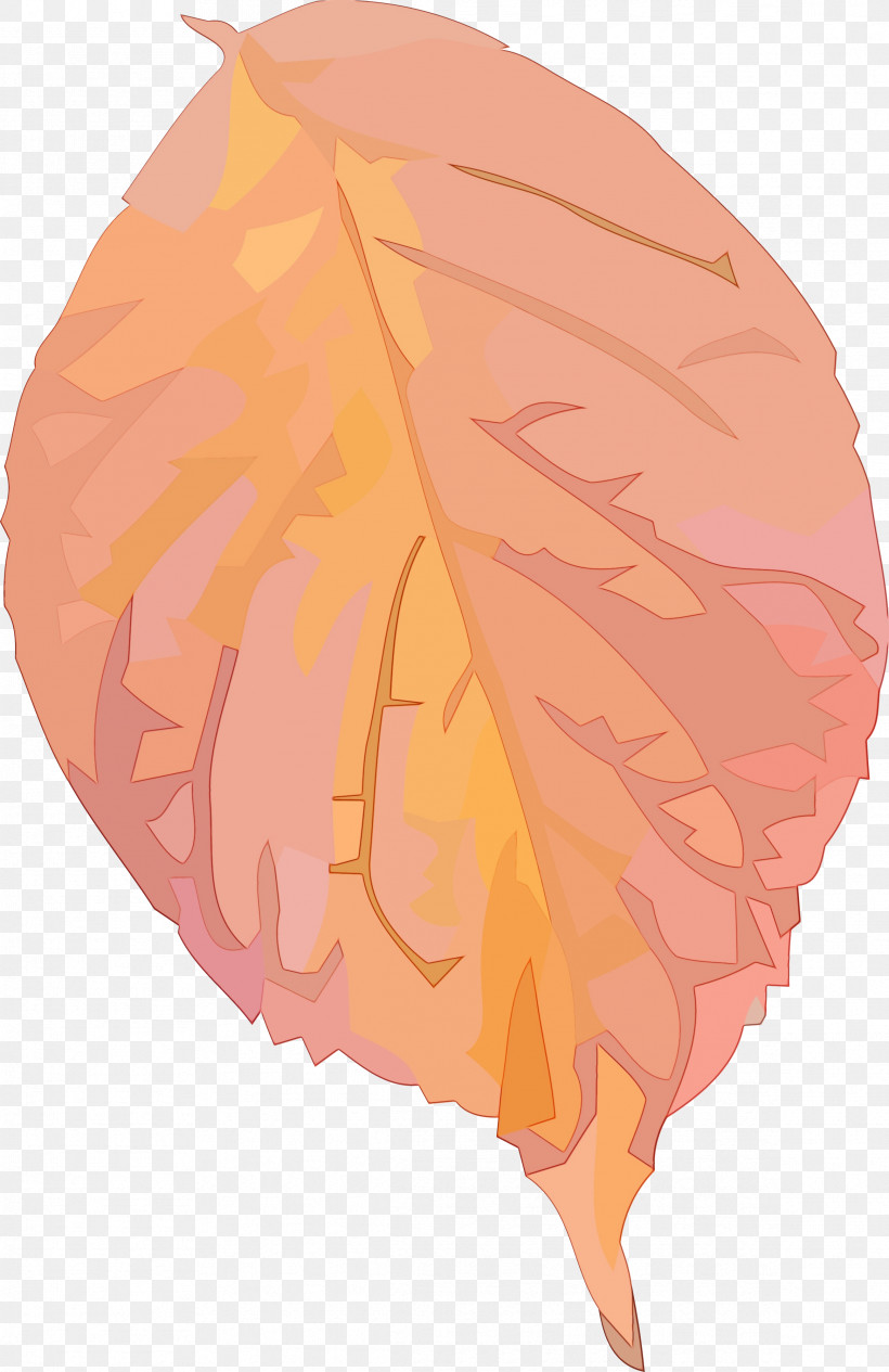 Orange, PNG, 2331x3597px, Autumn Leaf, Deciduous, Feather, Leaf, Orange Download Free