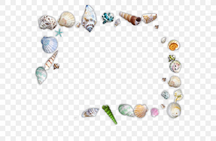 Seafood Seashell Sea Snail, PNG, 1000x657px, Seafood, Beach, Body Jewelry, Conch, Jewellery Download Free
