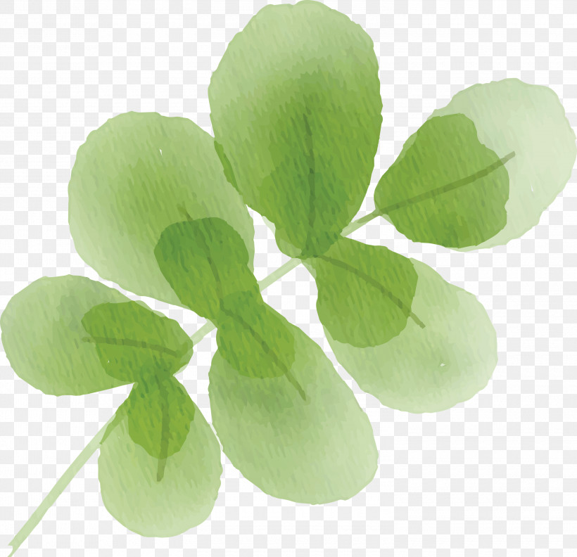 Green Leaf Plant Flower Petal, PNG, 3000x2899px, Green, Flower, Leaf, Petal, Plant Download Free