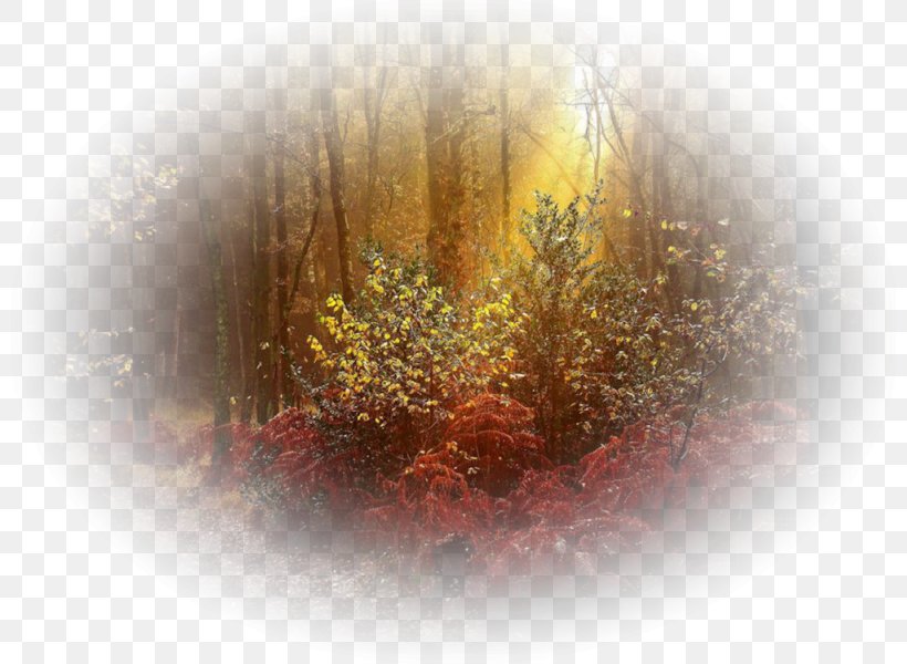 Nature Landscape Autumn Painting Fairy Tale, PNG, 800x600px, Nature, Autumn, Beauty, Fairy, Fairy Tale Download Free