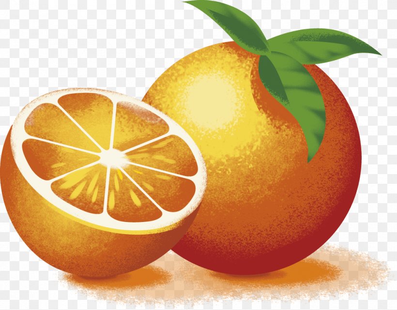 Clementine Lemon Grapefruit Tangelo Rangpur, PNG, 1044x817px, Clementine, Apple, Bitter Orange, Blood Orange, Citric Acid Download Free