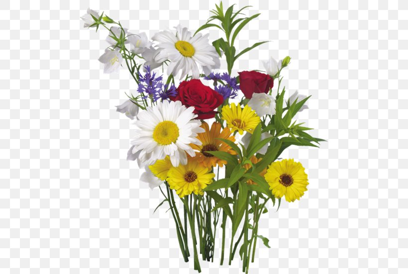 Desktop Wallpaper Flower Clip Art, PNG, 500x552px, Flower, Annual Plant, Artificial Flower, Aster, Chamaemelum Nobile Download Free
