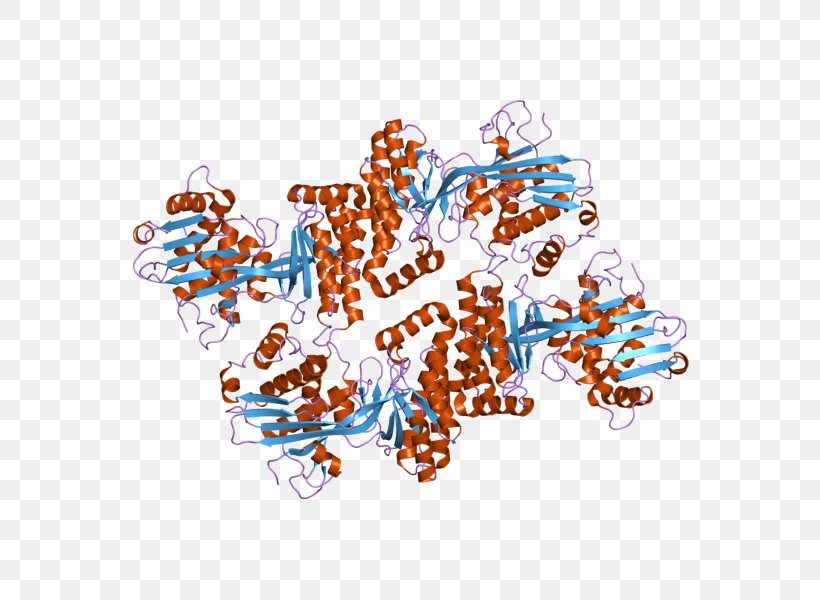 Mevalonate Kinase Mevalonate Pathway Mevalonic Acid Protein, PNG, 800x600px, Mevalonate Pathway, Art, Enzyme, Enzyme Commission Number, Gene Download Free