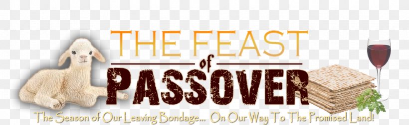 Passover Sacrifice Festival 0, PNG, 975x300px, 2017, Passover, Brand, Festival, Flavor Download Free