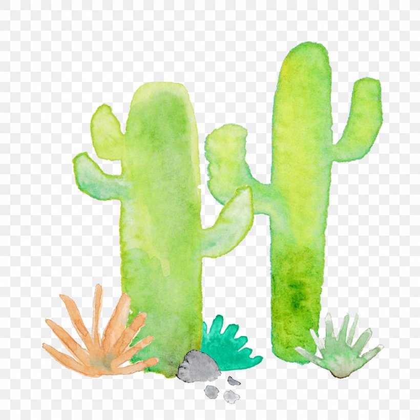 Cactaceae Green Thorns, Spines, And Prickles Euclidean Vector, PNG, 900x900px, Cactaceae, Amphibian, Cactus, Cactus Garden, Canvas Download Free