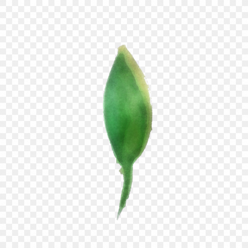 Feather, PNG, 1000x1000px, Watercolor Leaf, Bud, Feather, Flower, Green Download Free