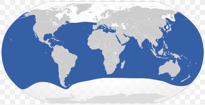Great White Shark Blue Shark Business World, PNG, 2000x1030px, Shark, Area, Blue, Blue Shark, Business Download Free
