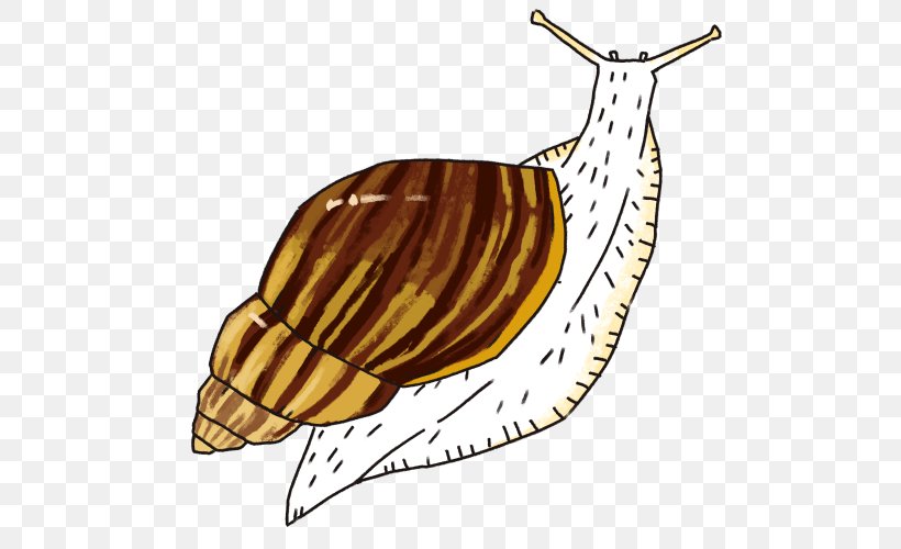 Snail Slug Food Terrestrial Animal Clip Art, PNG, 500x500px, Snail, Animal, Food, Invertebrate, Molluscs Download Free