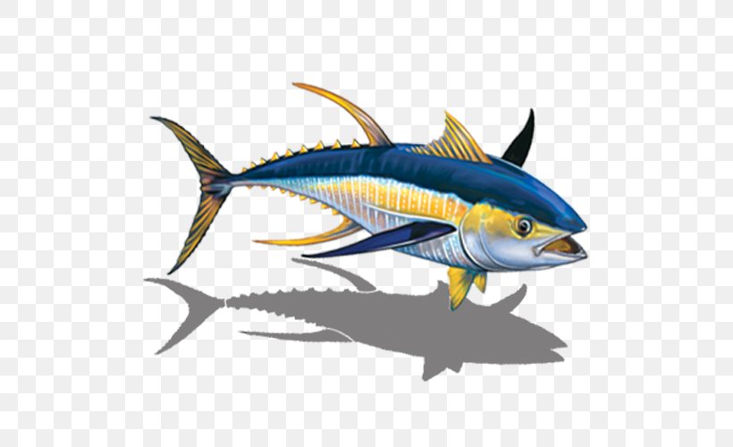 Swimming Cartoon, PNG, 500x500px, Tuna, Albacore Fish, Atlantic Blue Marlin, Atlantic Bluefin Tuna, Bonyfish Download Free