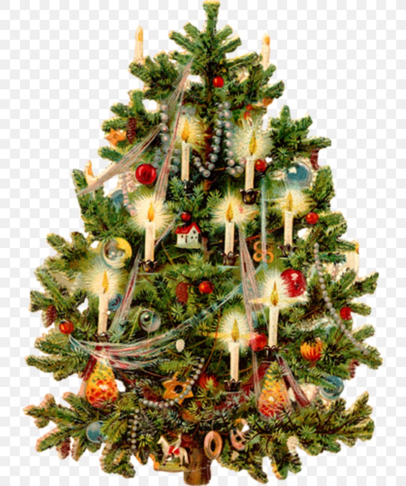 Christmas Tree Victorian Era Clip Art, PNG, 727x980px, Christmas Tree, Candle, Christmas, Christmas And Holiday Season, Christmas Decoration Download Free