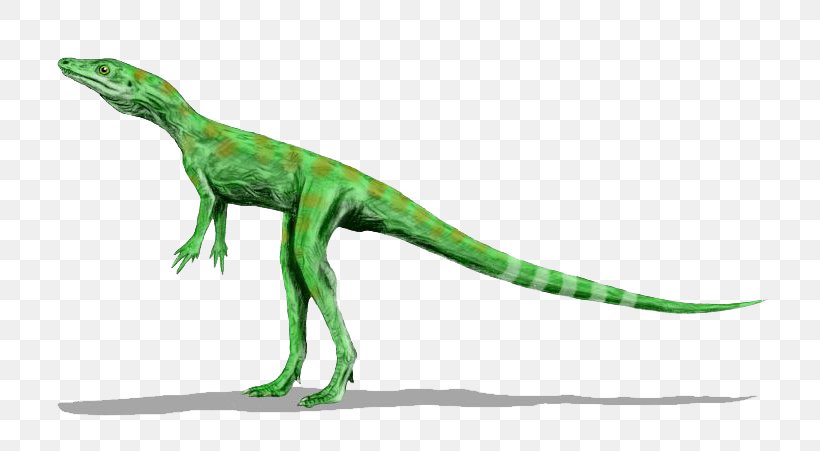 Dromomeron Avipes Diapsid Dinosauromorpha, PNG, 800x451px, Diapsid, Amniote, Animal Figure, Archosaur, Dinosaur Download Free