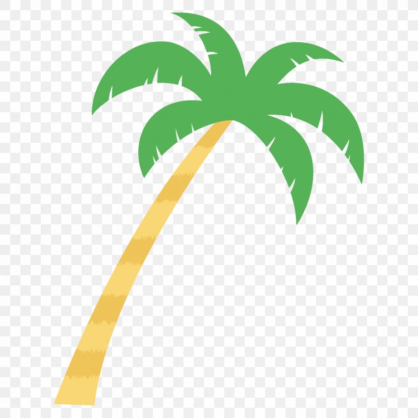 Palm Tree, PNG, 1200x1200px, Leaf, Arecales, Green, Palm Tree, Plant Download Free