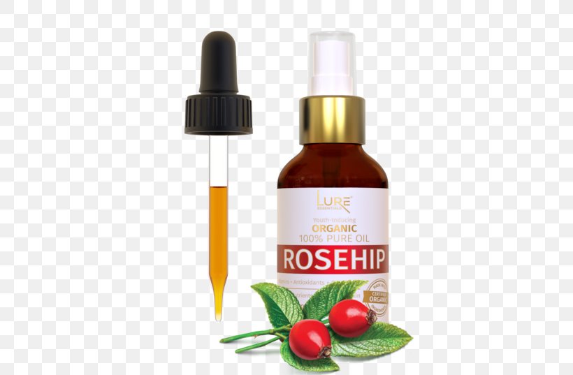 Rose Hip Seed Oil Cupping Therapy Face Facial, PNG, 600x537px, Rose Hip Seed Oil, Acne, Antiaging Cream, Cellulite, Cupping Therapy Download Free