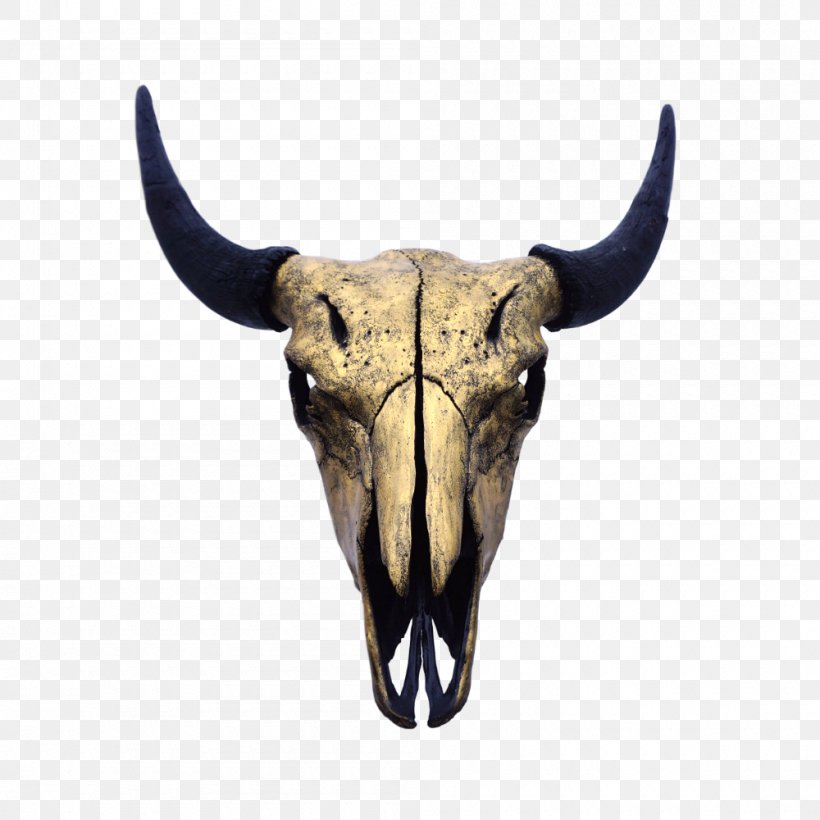 Skull Bison Cattle Bone Montrail, PNG, 1000x1000px, Skull, Animal, Bison, Bone, Cart Download Free