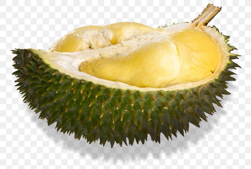 Durio Zibethinus Durian Papaya Fruit, PNG, 785x552px, Durio Zibethinus, Apple, Civet, Coconut, Durian Download Free