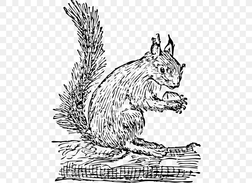 Eastern Gray Squirrel Prairie Dog Clip Art, PNG, 486x595px, Squirrel, Animal, Bear, Black And White, Carnivoran Download Free
