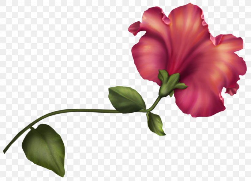 Flower Tulip Clip Art, PNG, 1463x1058px, Flower, Alstroemeriaceae, Blossom, Branch, Bud Download Free