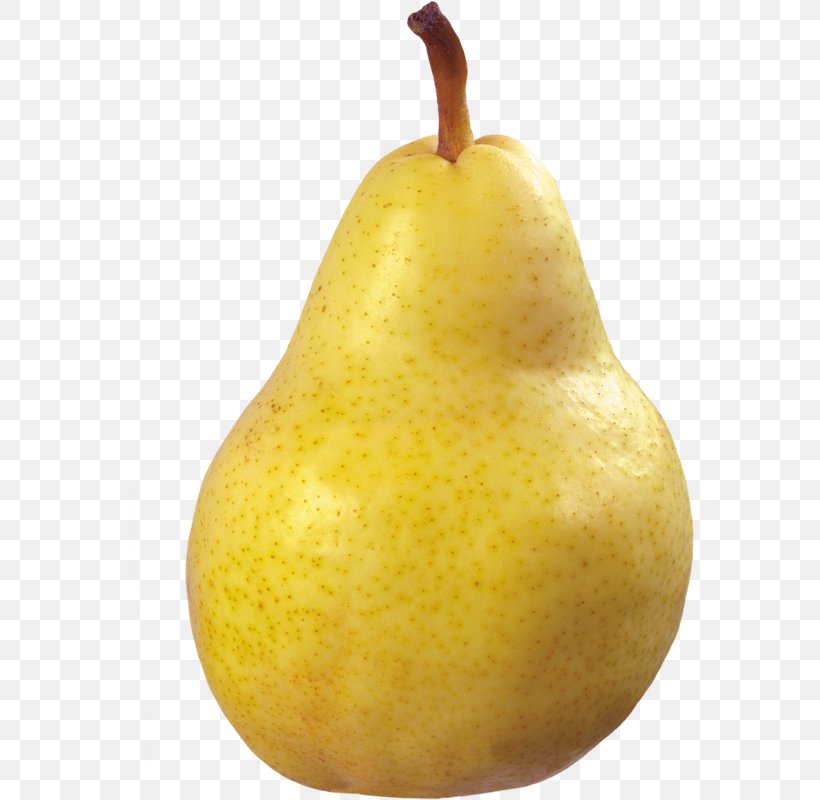 Pear Clip Art, PNG, 569x800px, Pear, Apple, Food, Fruit, Image File Formats Download Free