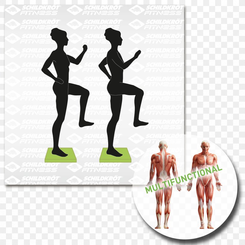 Physical Fitness Balance Board Pilates Weight Training Exercise, PNG, 2362x2362px, Physical Fitness, Abdomen, Aerobics, Balance Board, Bauchmuskulatur Download Free