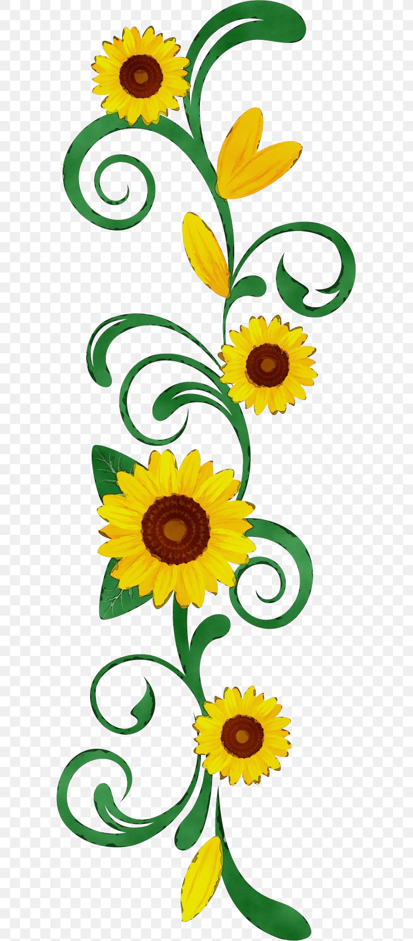 Sunflower, PNG, 595x1865px, Flower Border, Cut Flowers, Floral Line, Flower, Flower Background Download Free