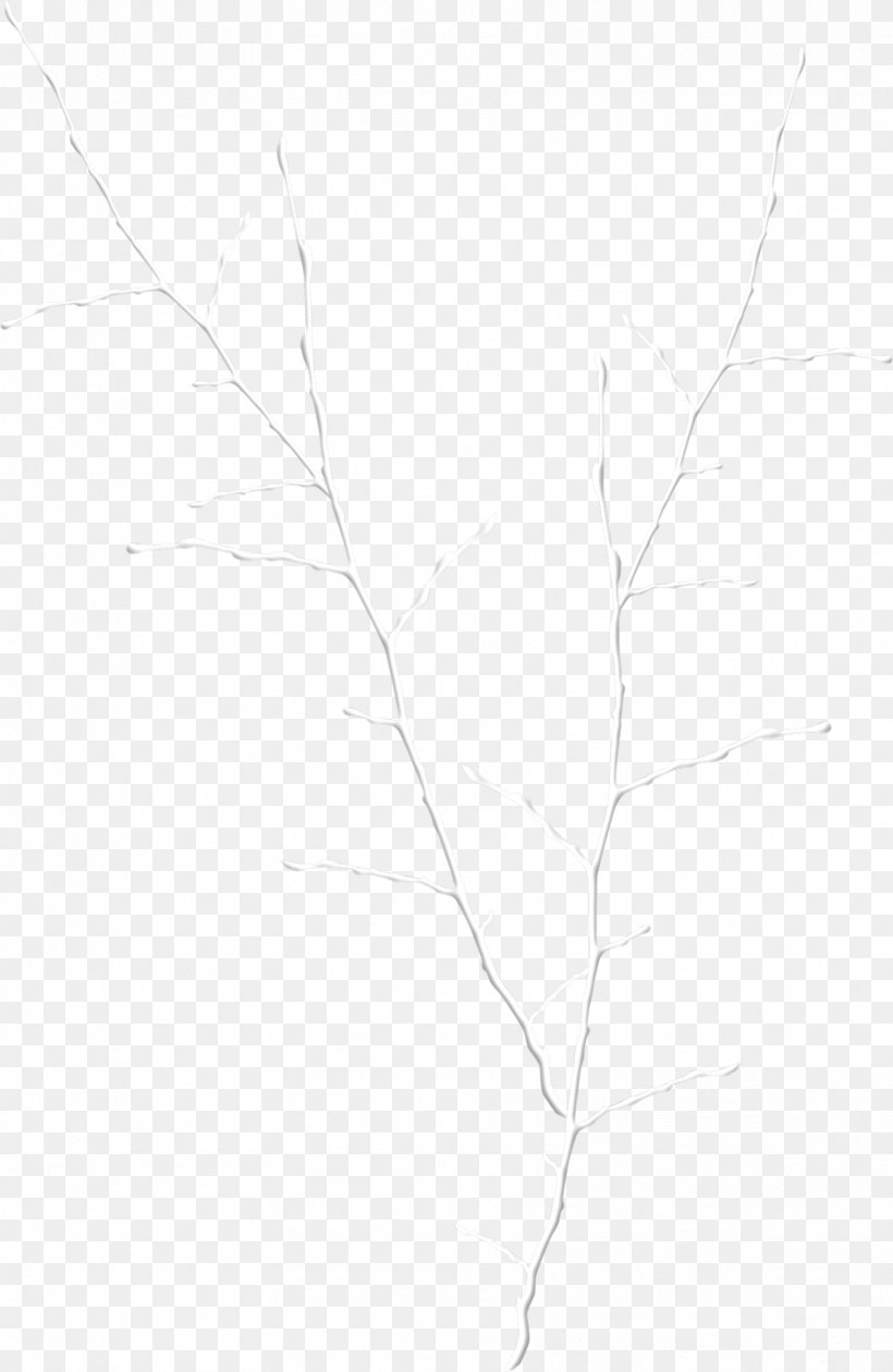 Twig White Drawing Line Art Sketch, PNG, 1713x2634px, Twig, Artwork, Black, Black And White, Branch Download Free
