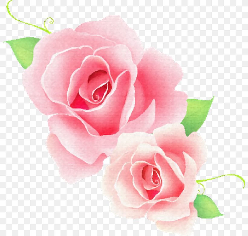 Vector Graphics Rose Clip Art Image Flower, PNG, 800x779px, Rose, Artificial Flower, China Rose, Cut Flowers, Floral Design Download Free