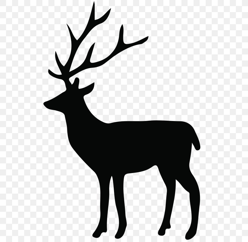 White-tailed Deer Reindeer Clip Art, PNG, 548x800px, Deer, Antler, Art, Biggame Hunting, Black And White Download Free