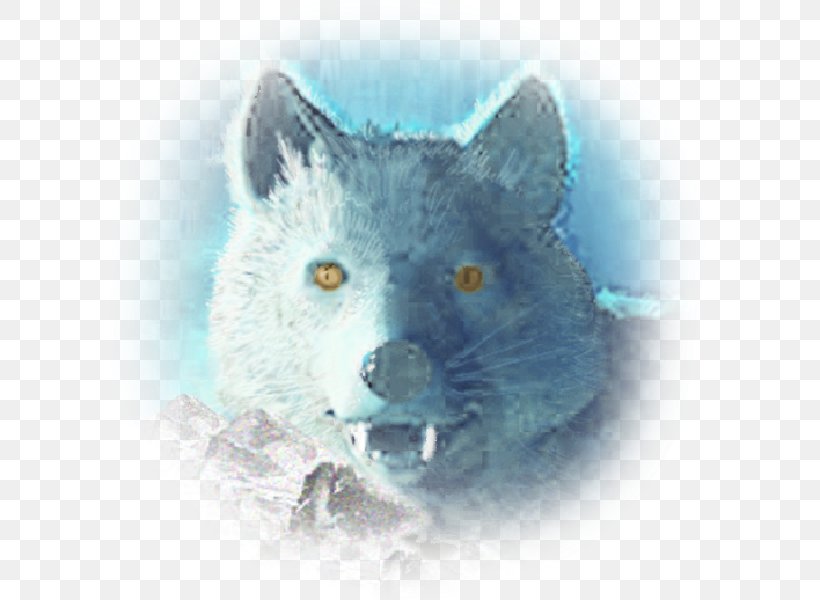 Arctic Fox Red Fox Wolf Bear Rat, PNG, 600x600px, Arctic Fox, Animal Figure, Arctic, Bear, Canidae Download Free