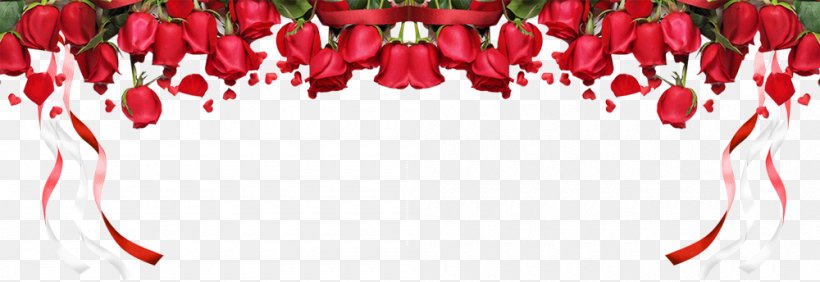 Beach Rose Red Garden Roses Pink, PNG, 1000x344px, Beach Rose, Floral Design, Floristry, Flower, Flowering Plant Download Free