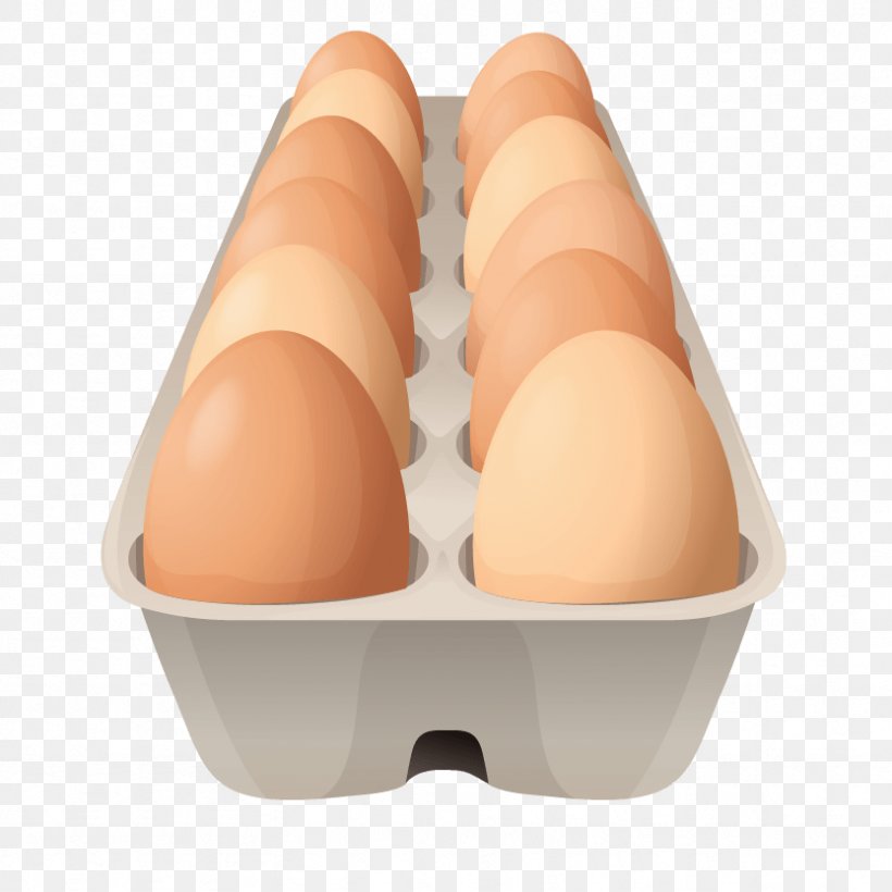 Egg Carton Chicken Breakfast Vector Graphics, PNG, 833x833px, Egg, Box, Breakfast, Carton, Century Egg Download Free